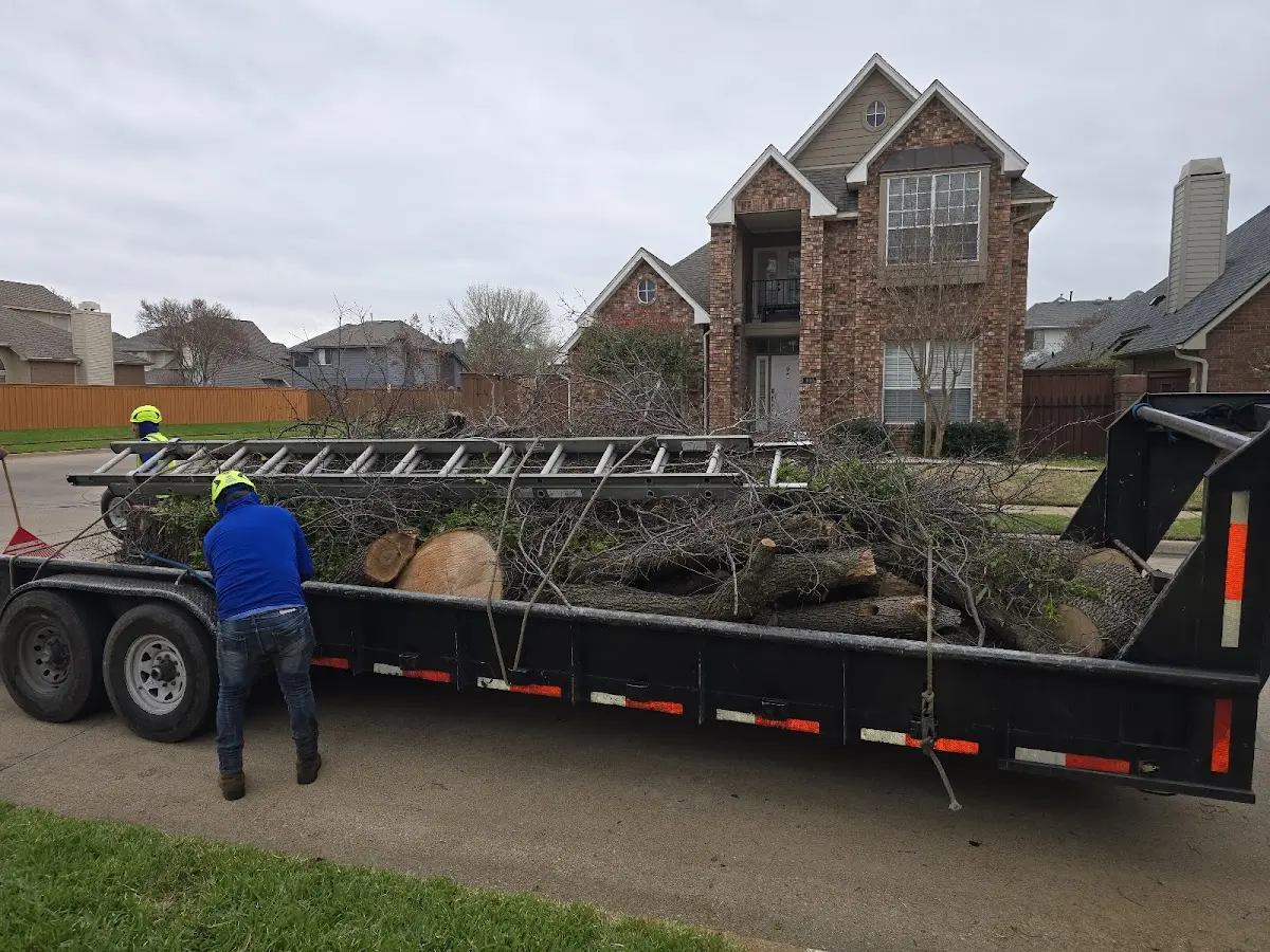 Expert Lot Clearing with proper safety equipment in Big Timber